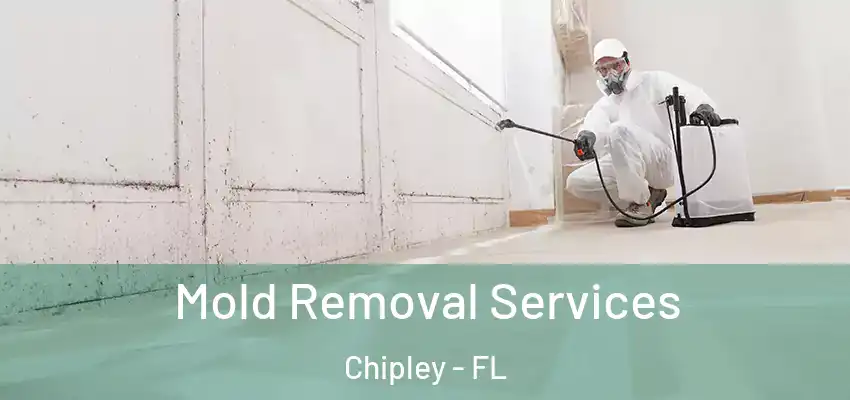  Mold Removal Services Chipley - FL