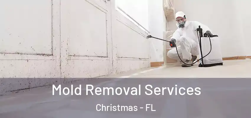  Mold Removal Services Christmas - FL