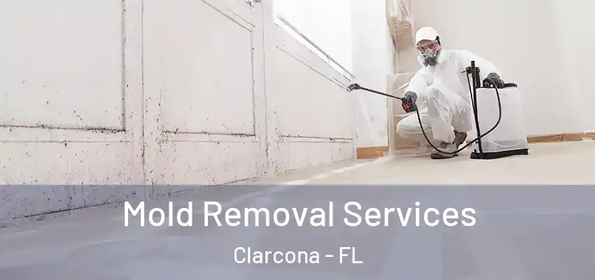 Mold Removal Services Clarcona - FL
