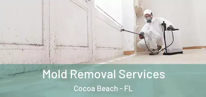  Mold Removal Services Cocoa Beach - FL