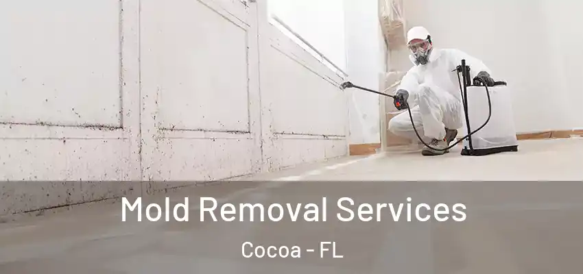 Mold Removal Services Cocoa - FL