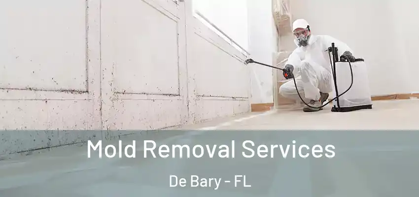  Mold Removal Services De Bary - FL
