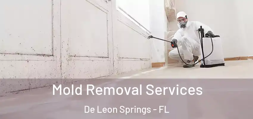 Mold Removal Services De Leon Springs - FL