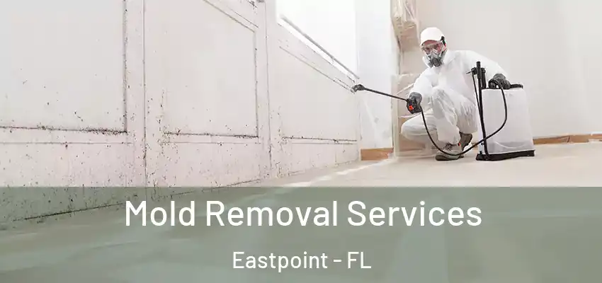  Mold Removal Services Eastpoint - FL