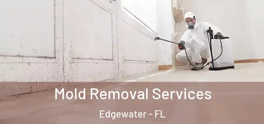  Mold Removal Services Edgewater - FL