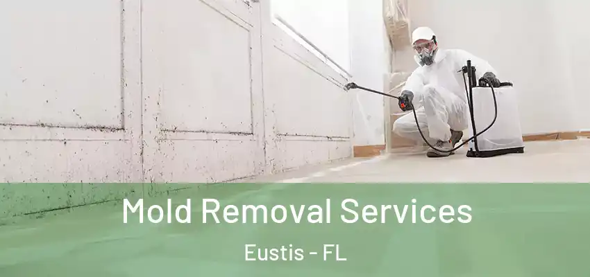 Mold Removal Services Eustis - FL