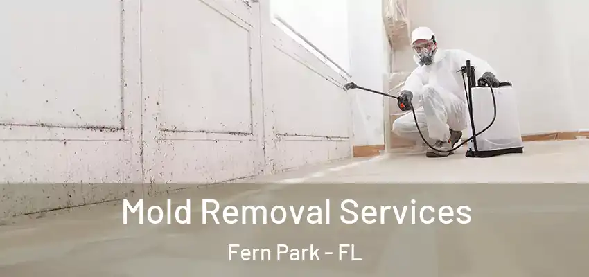  Mold Removal Services Fern Park - FL
