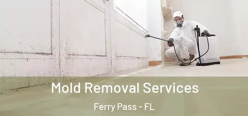  Mold Removal Services Ferry Pass - FL