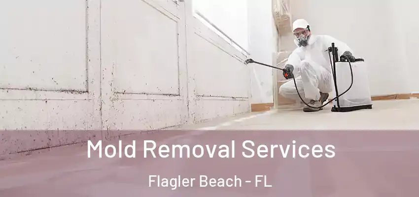  Mold Removal Services Flagler Beach - FL