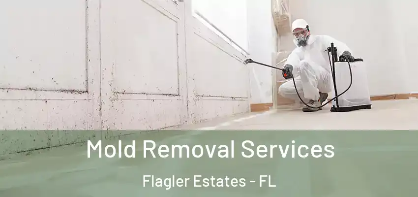  Mold Removal Services Flagler Estates - FL