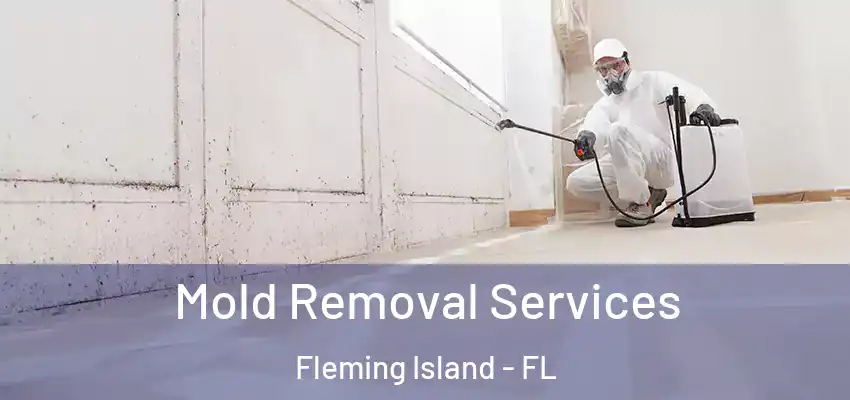 Mold Removal Services Fleming Island - FL