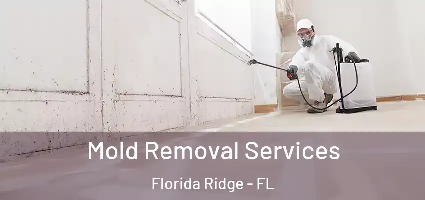  Mold Removal Services Florida Ridge - FL
