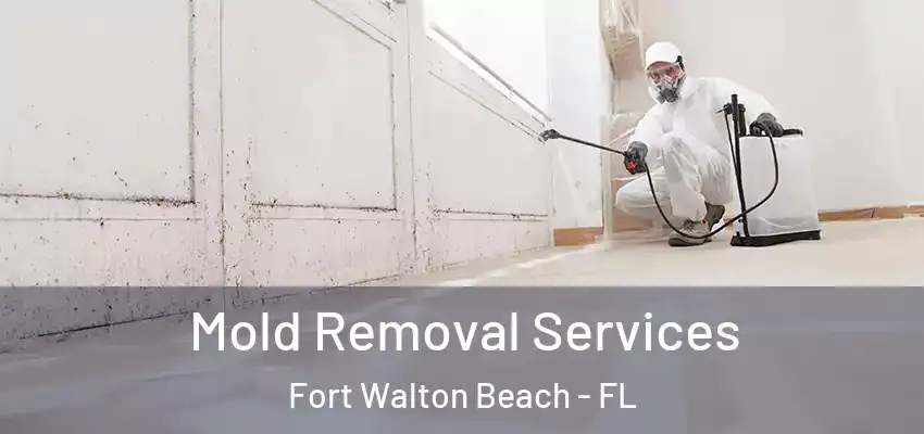  Mold Removal Services Fort Walton Beach - FL