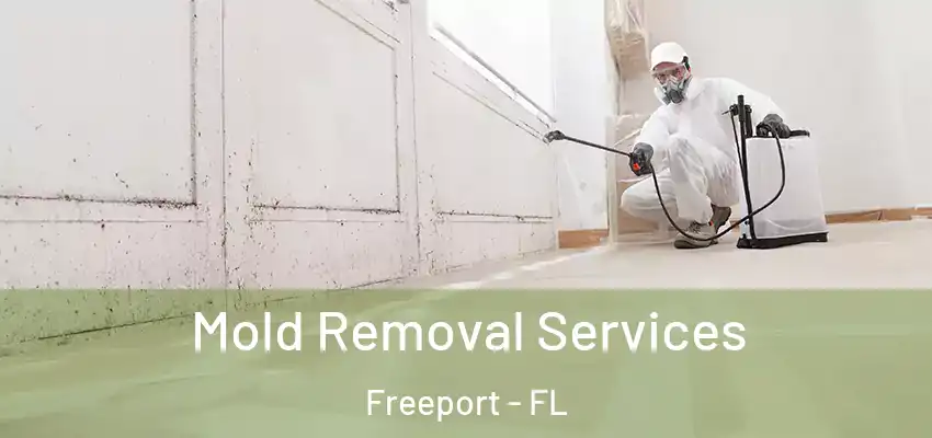  Mold Removal Services Freeport - FL