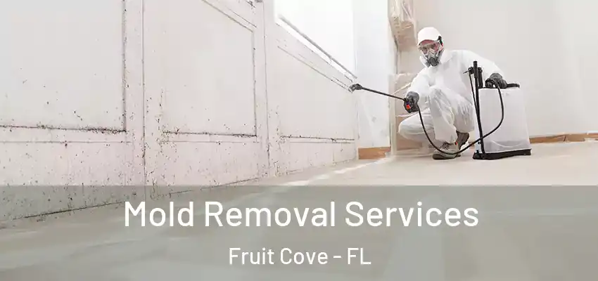  Mold Removal Services Fruit Cove - FL