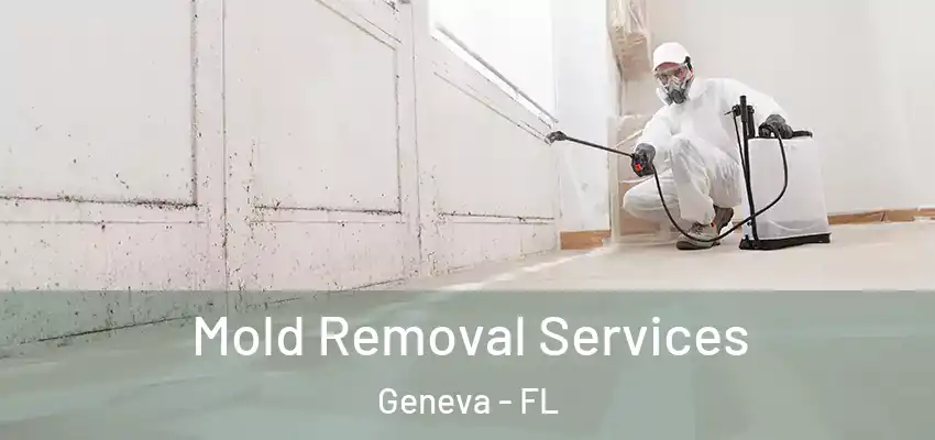  Mold Removal Services Geneva - FL