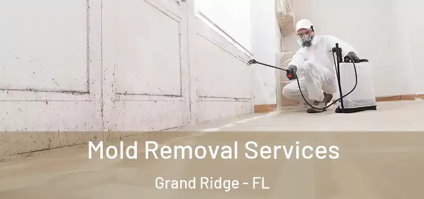  Mold Removal Services Grand Ridge - FL