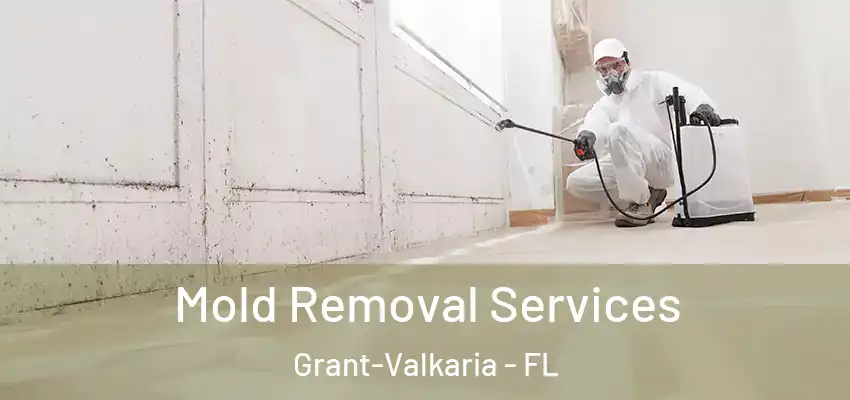  Mold Removal Services Grant-Valkaria - FL