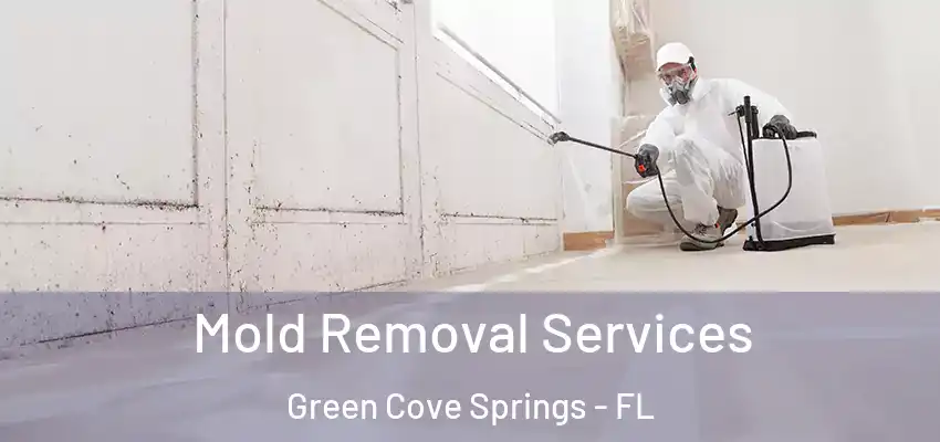  Mold Removal Services Green Cove Springs - FL