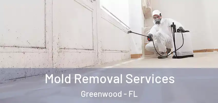 Mold Removal Services Greenwood - FL