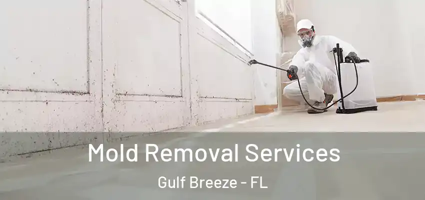  Mold Removal Services Gulf Breeze - FL