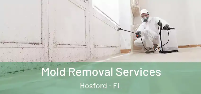 Mold Removal Services Hosford - FL