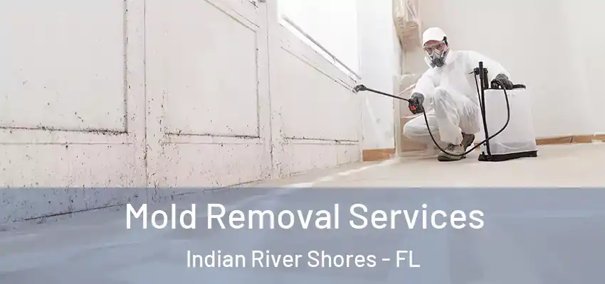  Mold Removal Services Indian River Shores - FL