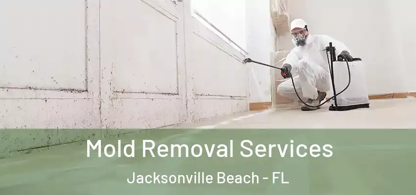  Mold Removal Services Jacksonville Beach - FL
