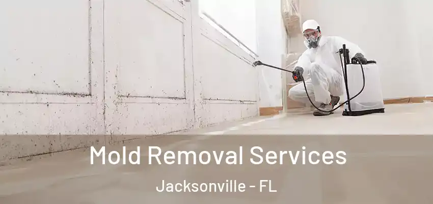 Mold Removal Services Jacksonville - FL