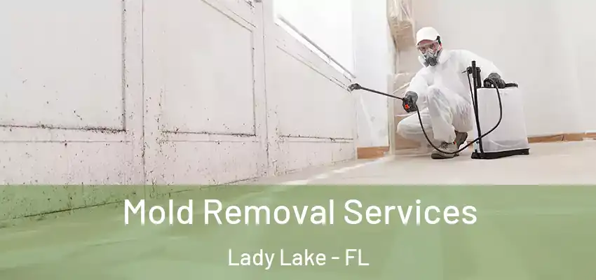  Mold Removal Services Lady Lake - FL