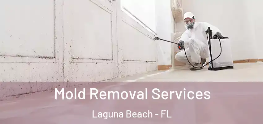  Mold Removal Services Laguna Beach - FL