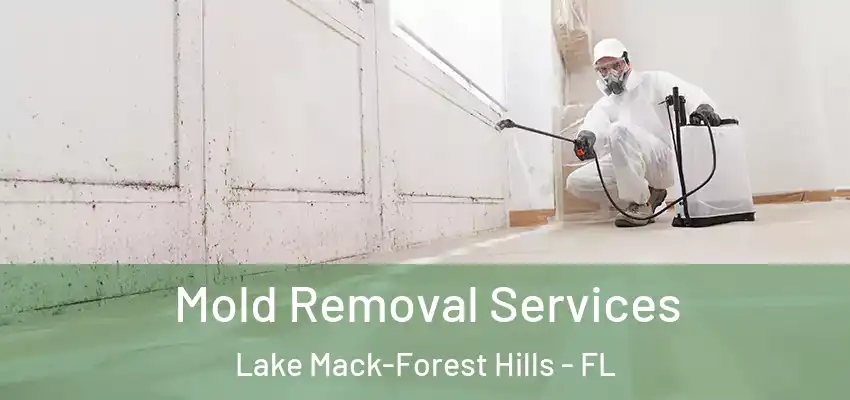  Mold Removal Services Lake Mack-Forest Hills - FL