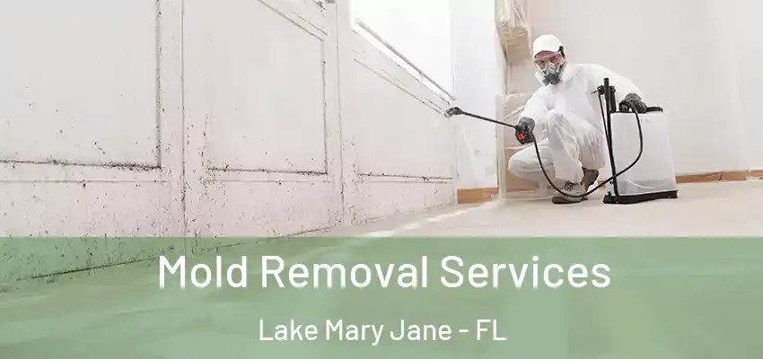  Mold Removal Services Lake Mary Jane - FL