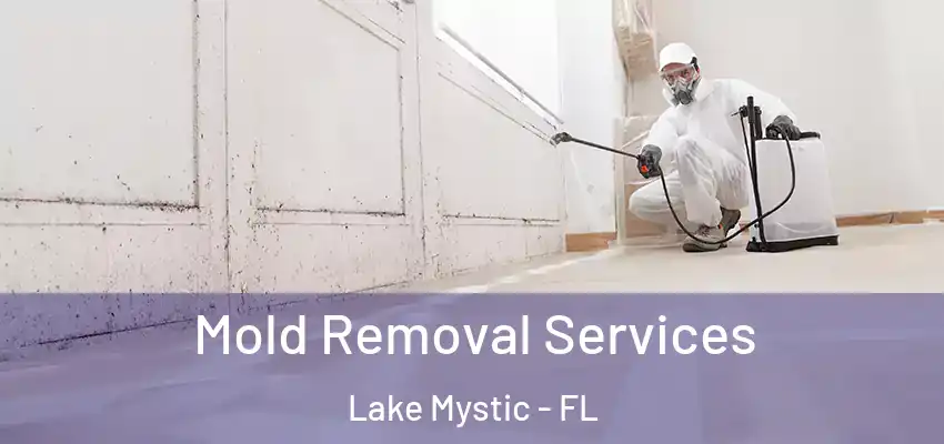  Mold Removal Services Lake Mystic - FL