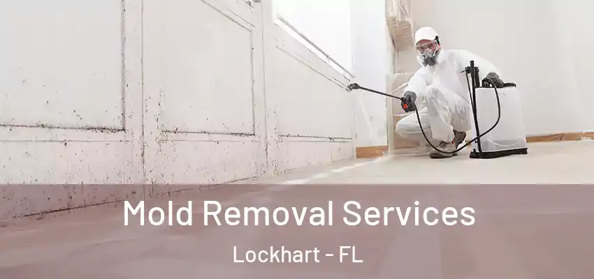  Mold Removal Services Lockhart - FL