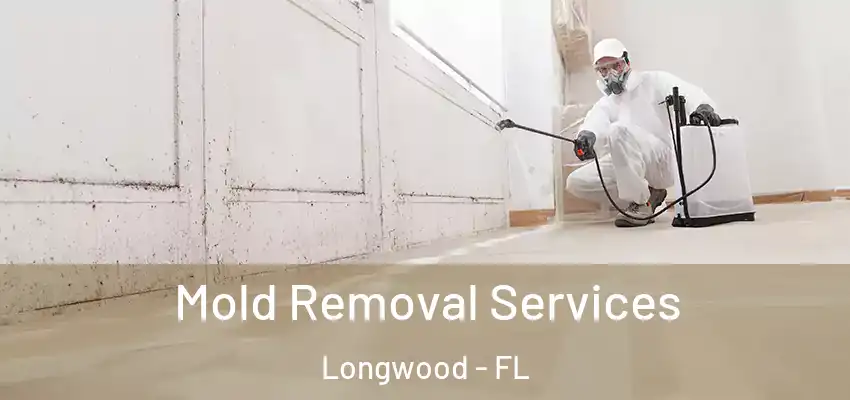 Mold Removal Services Longwood - FL