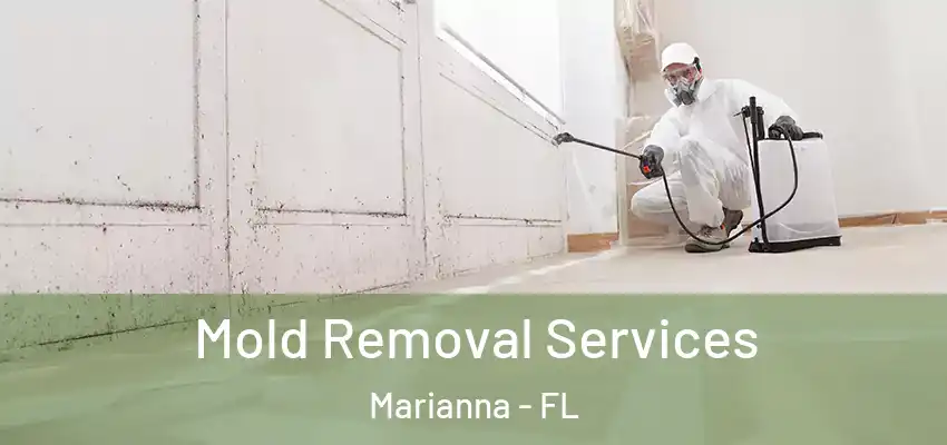  Mold Removal Services Marianna - FL