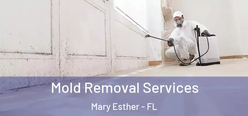  Mold Removal Services Mary Esther - FL