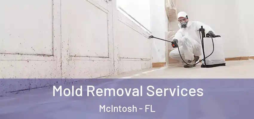  Mold Removal Services McIntosh - FL