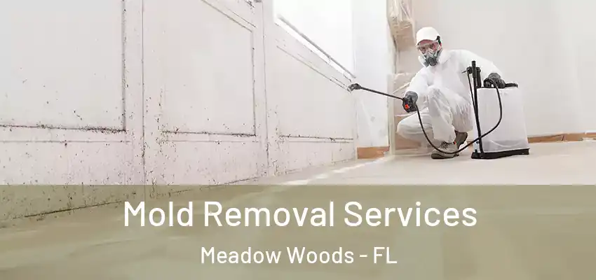  Mold Removal Services Meadow Woods - FL