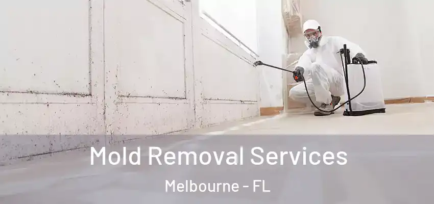  Mold Removal Services Melbourne - FL