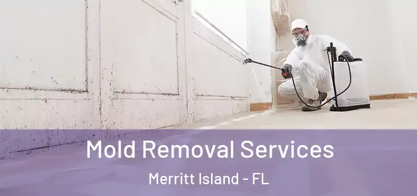  Mold Removal Services Merritt Island - FL