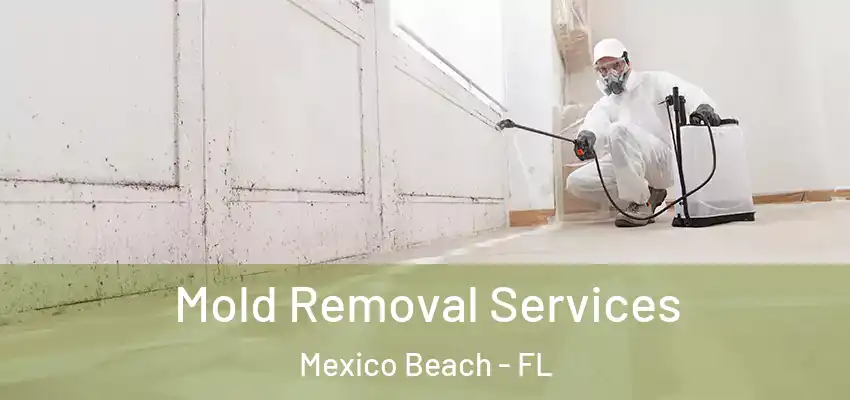  Mold Removal Services Mexico Beach - FL