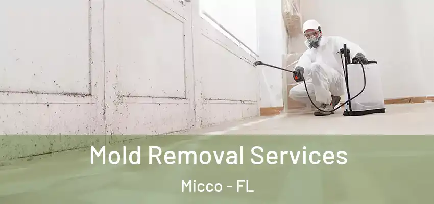  Mold Removal Services Micco - FL