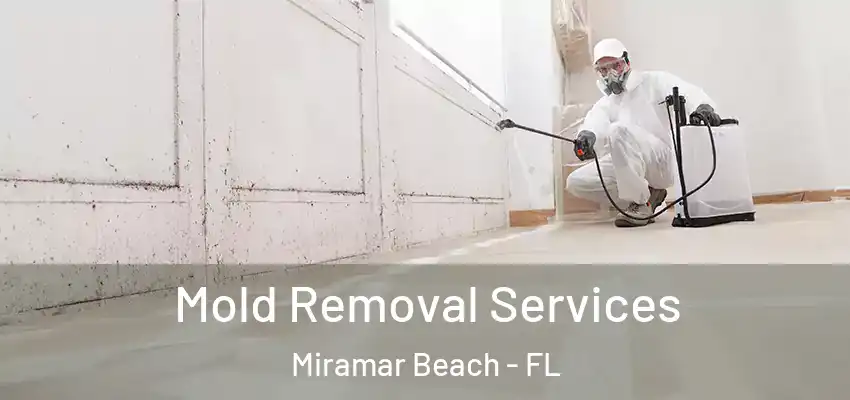  Mold Removal Services Miramar Beach - FL