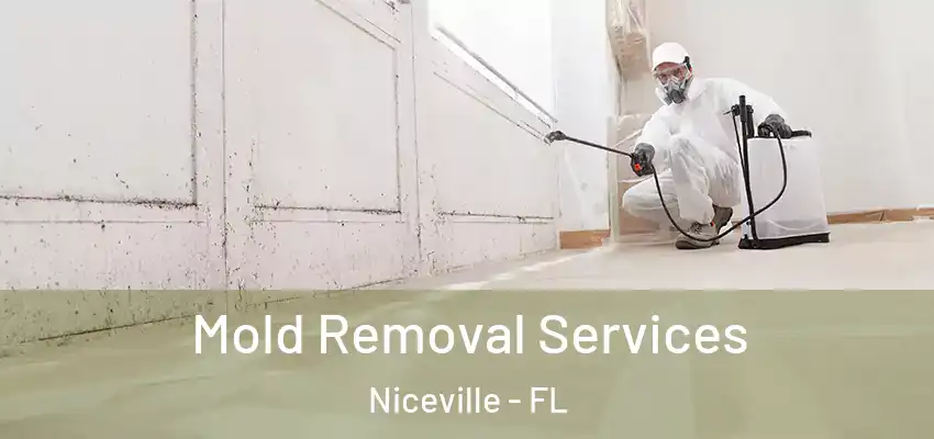 Mold Removal Services Niceville - FL