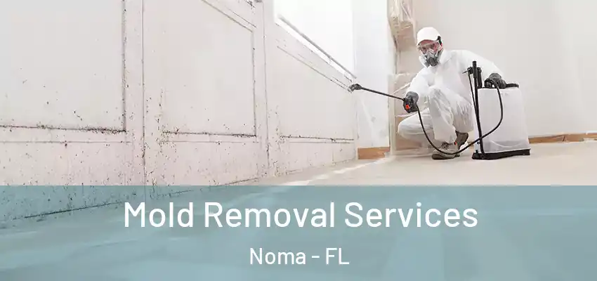  Mold Removal Services Noma - FL