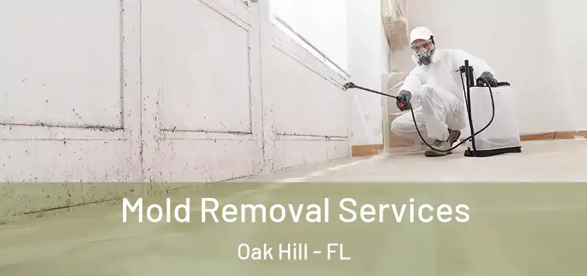 Mold Removal Services Oak Hill - FL