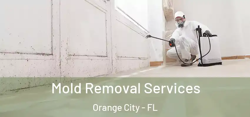 Mold Removal Services Orange City - FL