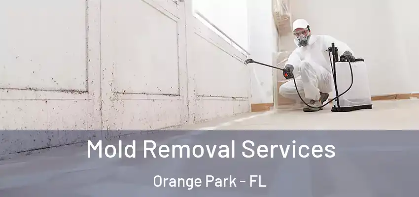 Mold Removal Services Orange Park - FL